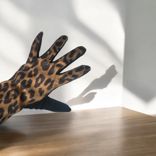 Load image into Gallery viewer, Touchscreen Gloves
